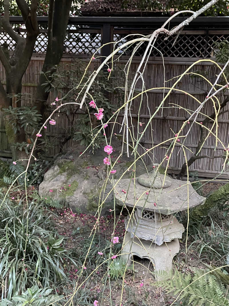 セッキー、やサ活始めたってよさんの深谷花園温泉 花湯の森のサ活写真