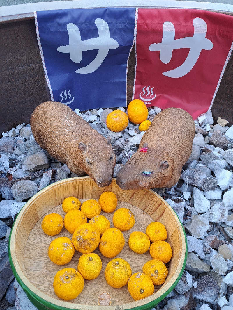 thinker6075さんの富士山天然水SPA サウナ鷹の湯のサ活写真