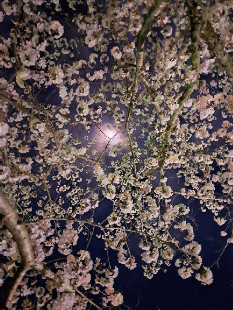 thinker6075さんのあおい温泉 草薙の湯のサ活写真