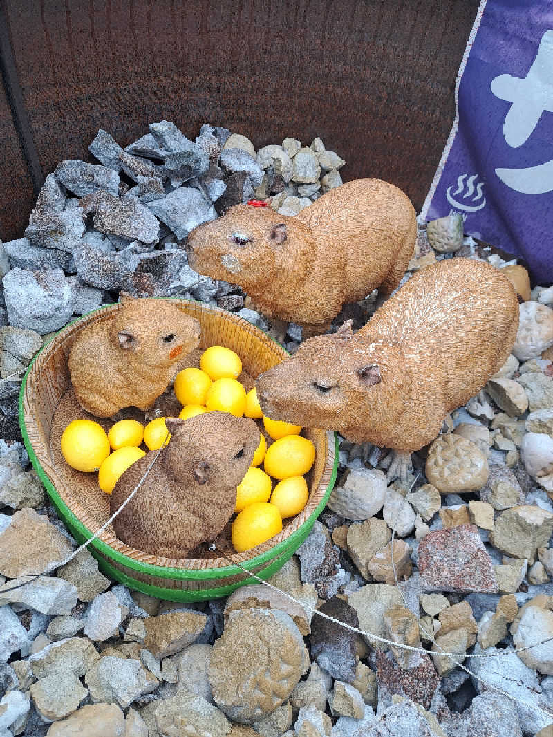 thinker6075さんの富士山天然水SPA サウナ鷹の湯のサ活写真