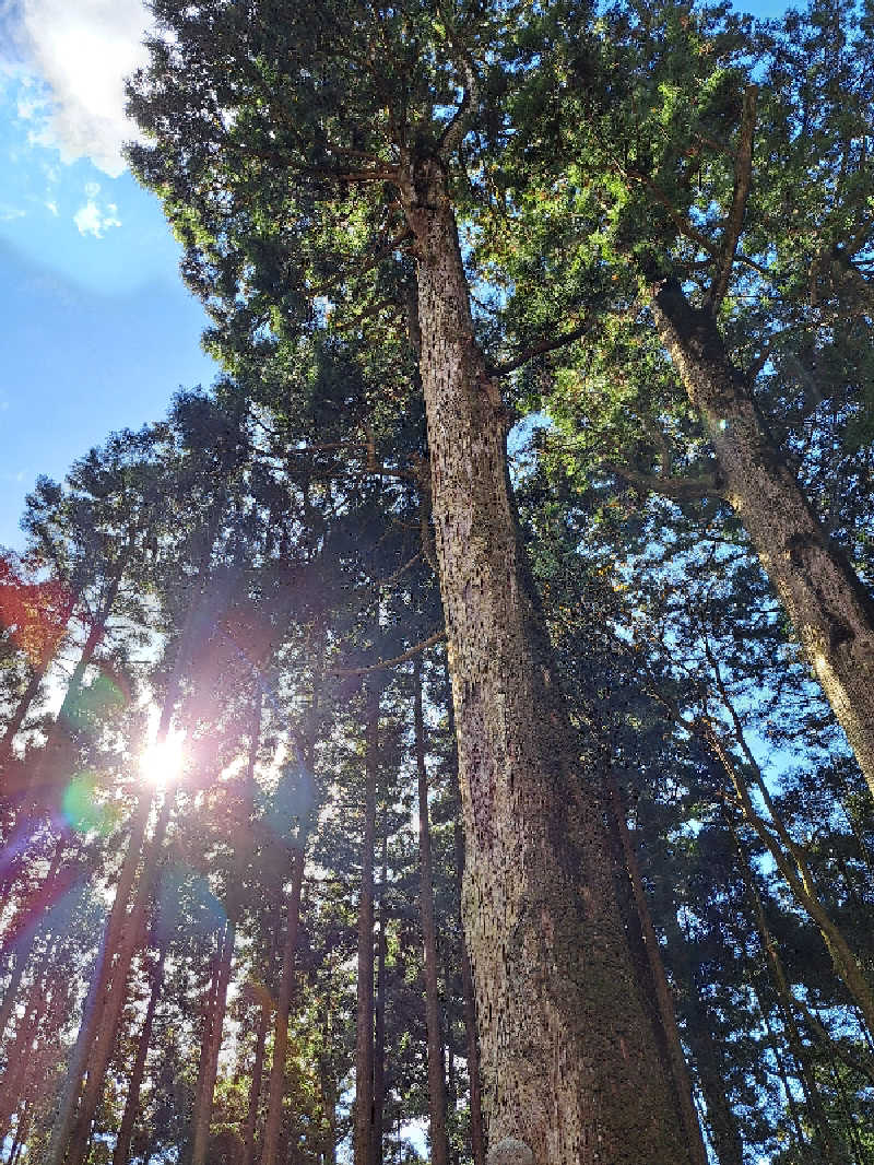 thinker6075さんの田代の郷温泉 伊太和里の湯のサ活写真