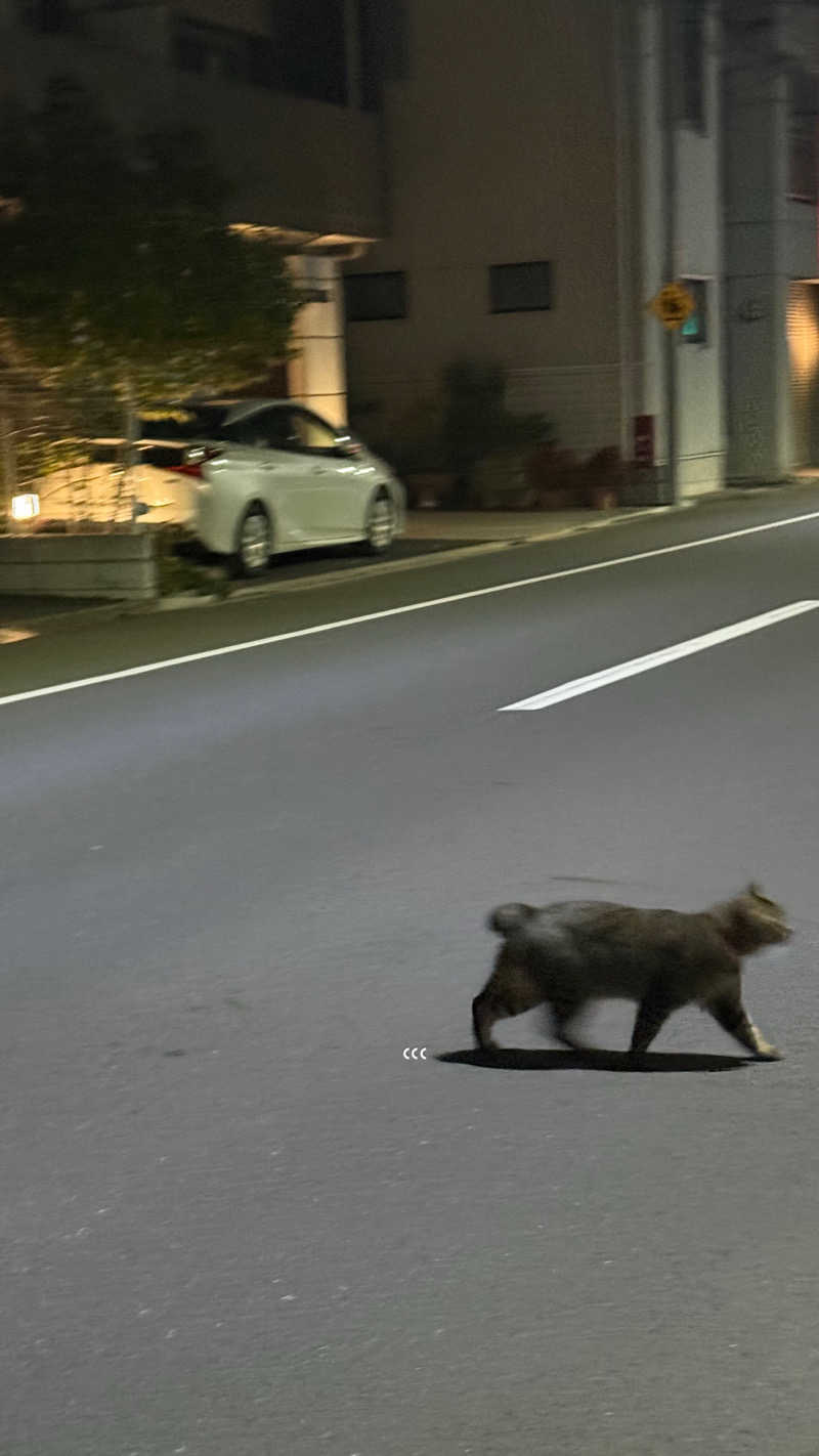 芽生さんの押上温泉 大黒湯のサ活写真