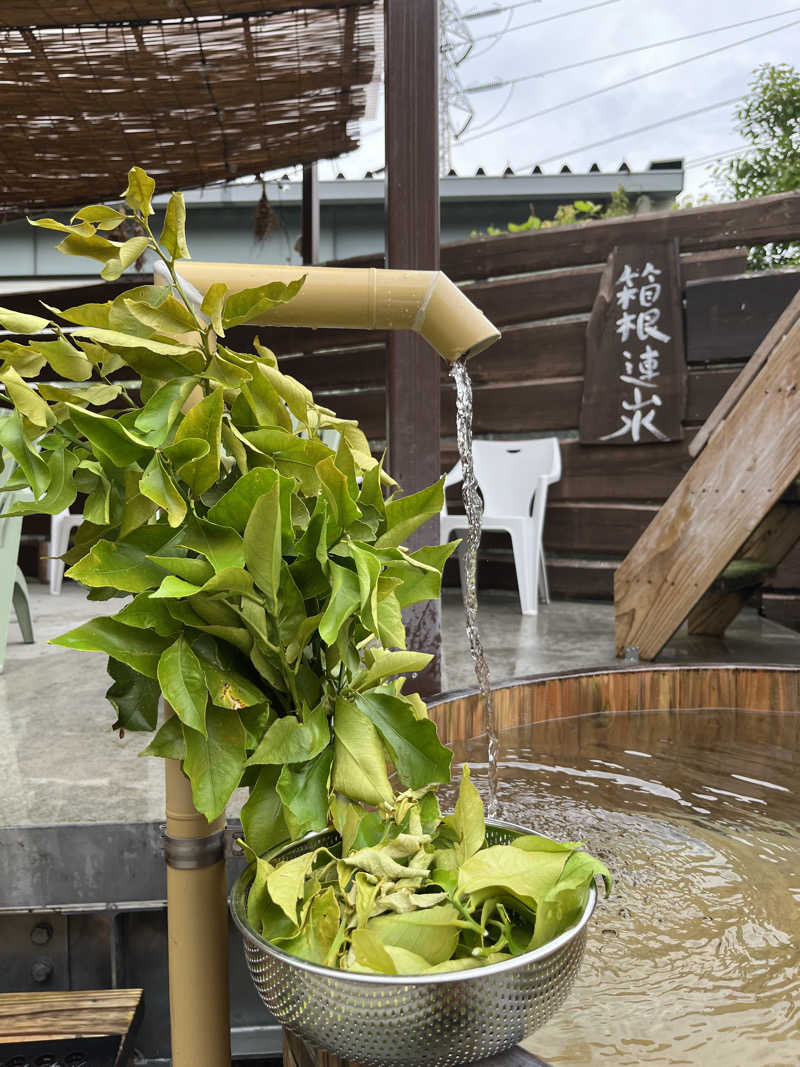 いちばんさんの山賊サウナのサ活写真