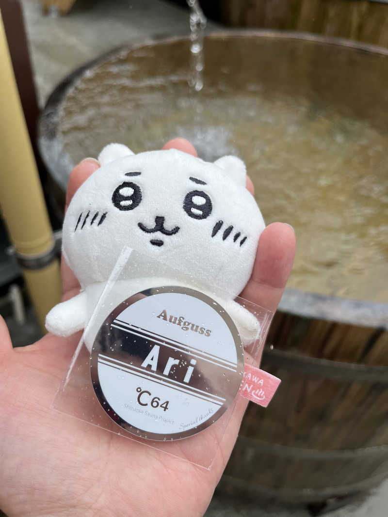 いちばん🔥🪵🔥さんの山賊サウナのサ活写真