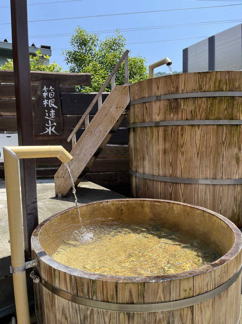 いちばん🔥🪵🔥さんの山賊サウナのサ活写真