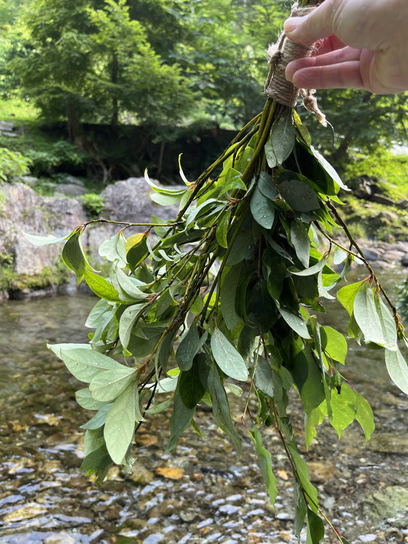 いちばんさんのたなごころサウナ Oasis & OasisⅡのサ活写真