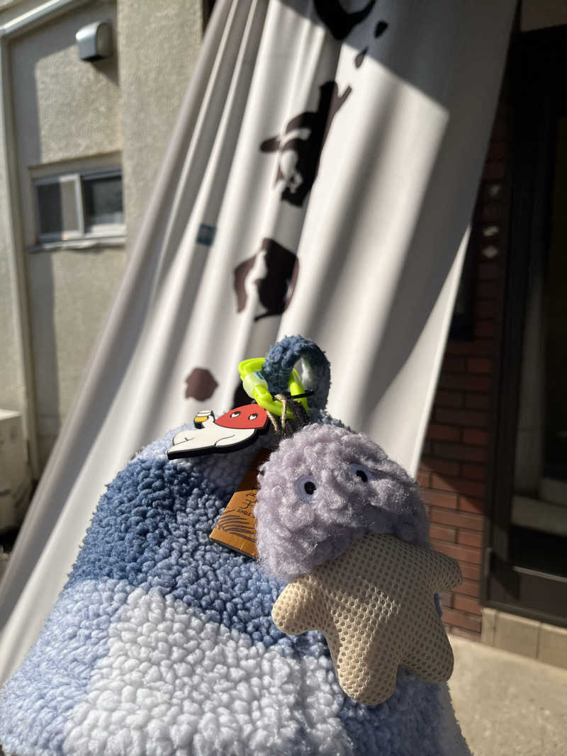 いちばんさんのしずの湯 相模原のサ活写真