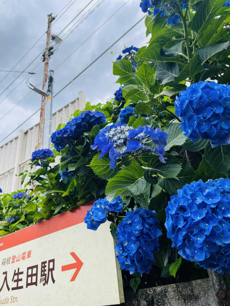 いちばんさんの山賊サウナのサ活写真