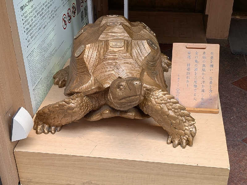 やまこさんの生姜サウナ 金の亀のサ活写真