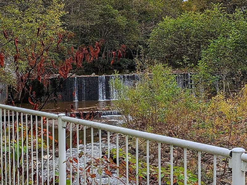 やまこさんのGardensResort ときわのサ活写真