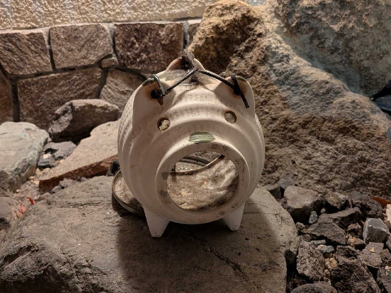 やまこさんのあかざる神楽坂SAUNAのサ活写真