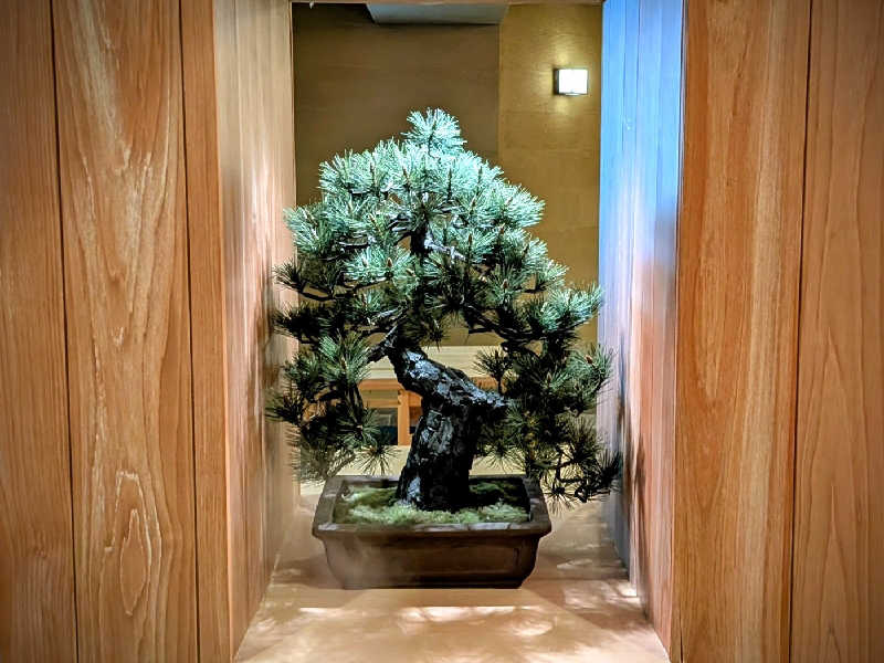 やまこさんのSPABLIC 赤坂湯屋のサ活写真