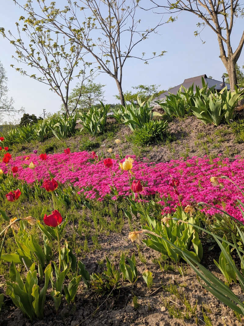 やまこさんのキトウシの森きとろんのサ活写真