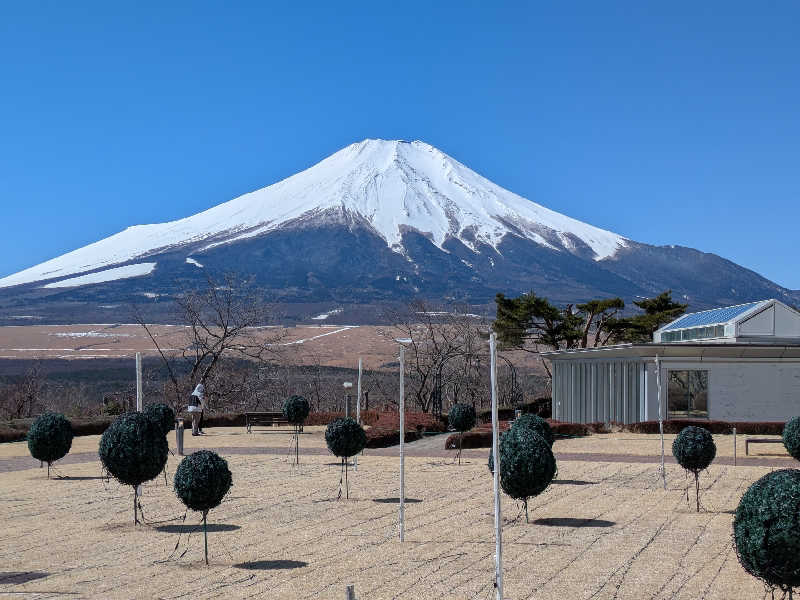 肩傷蒸男さんのホテルマウント富士のサ活写真