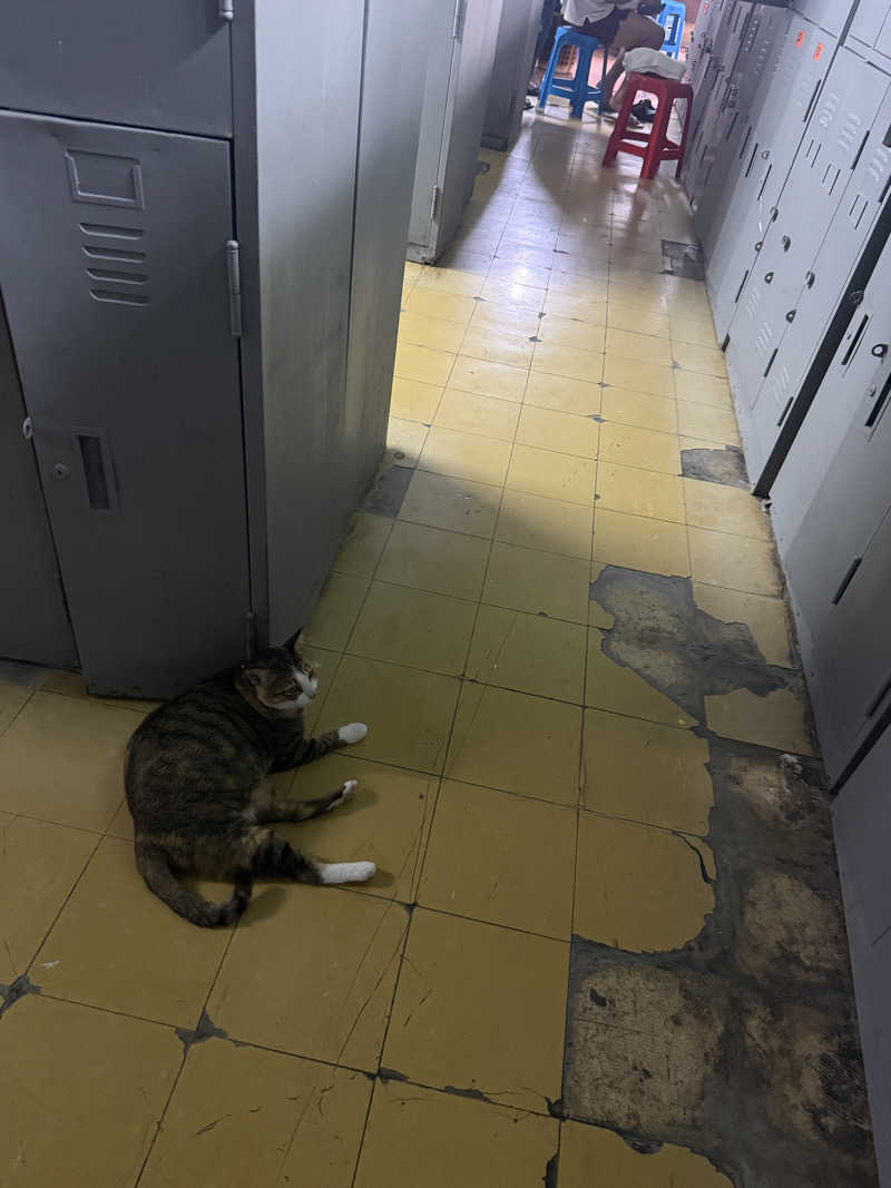 ひまわりサンドイッチさんのSilom Sauna Sathonのサ活写真