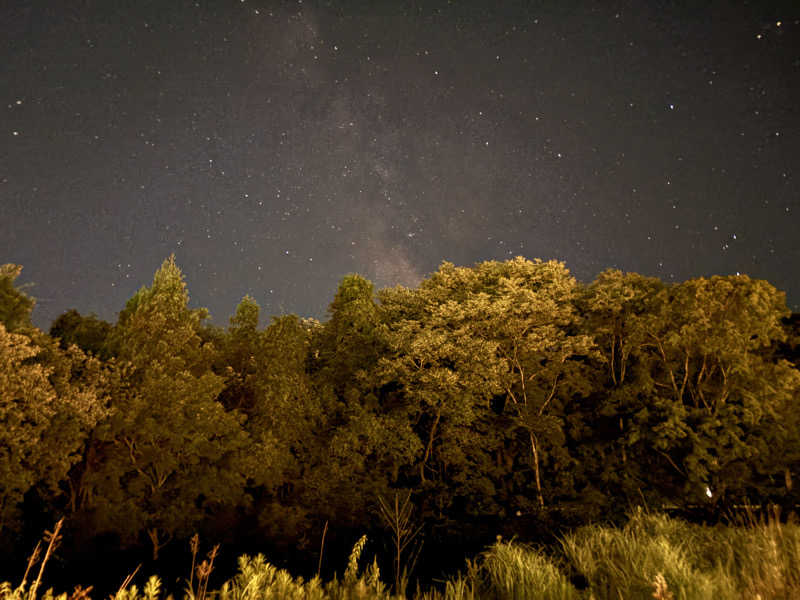 のぶ☆ぽよさんのBLANC FUJIのサ活写真