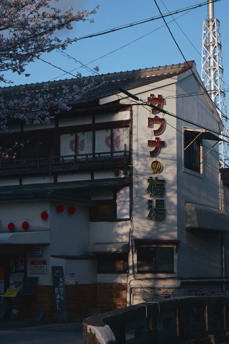 サウナー20250330さんの梅湯のサ活写真