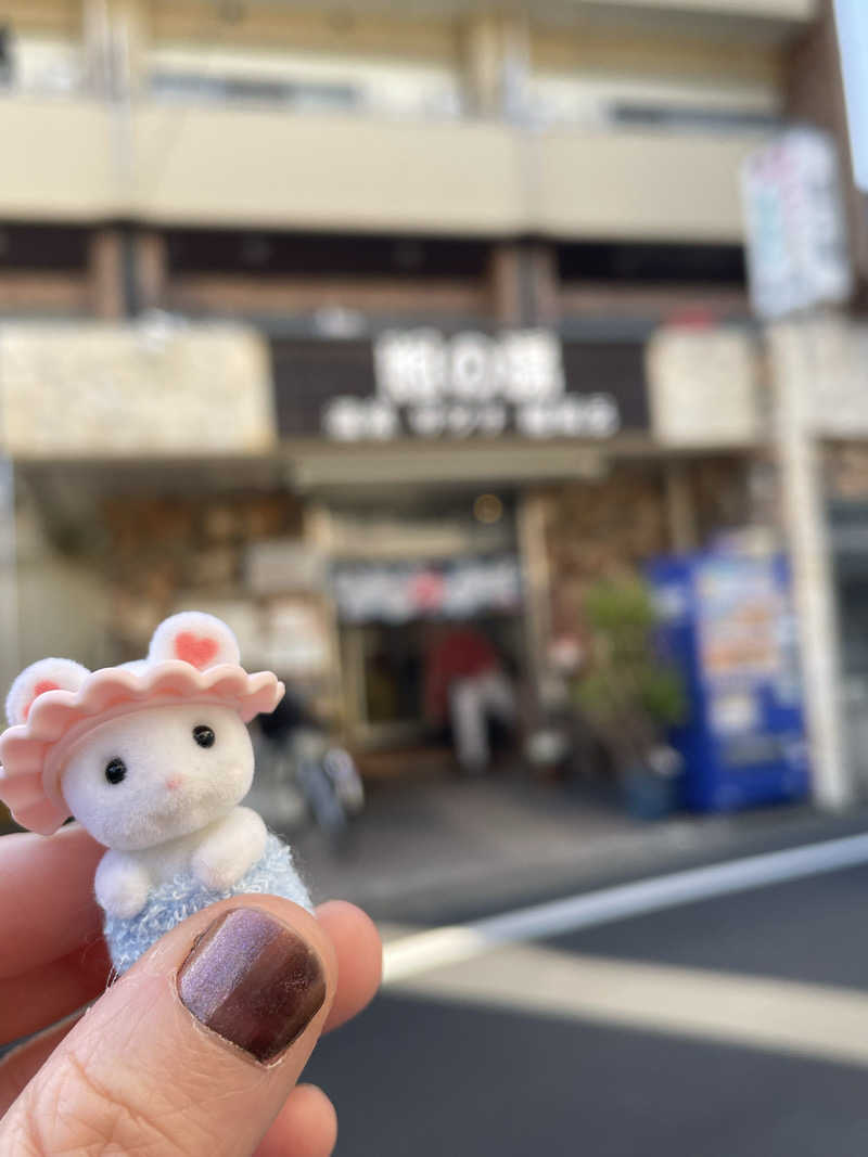 Dさんの照の湯のサ活写真