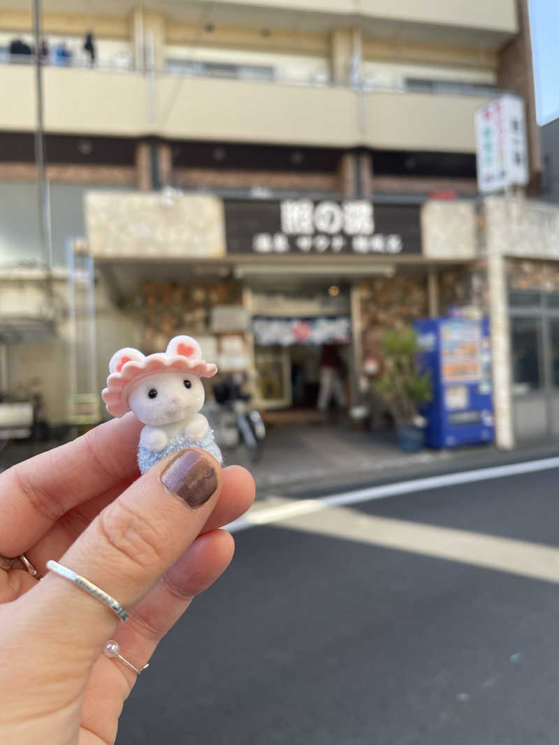 Dさんの照の湯のサ活写真
