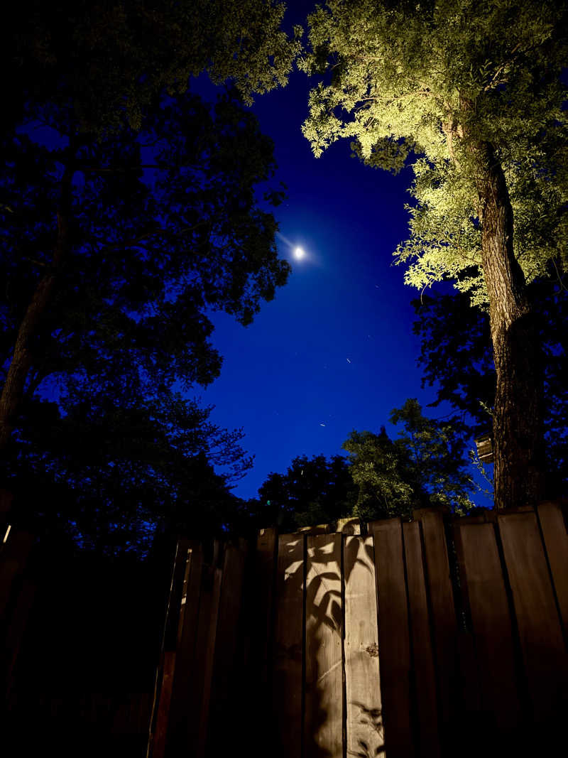 きた@さうなぁさんのThe Saunaのサ活写真