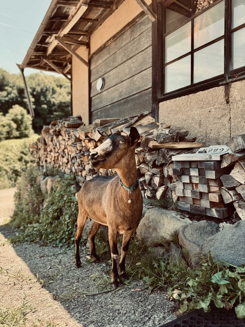 きた@さうなぁさんのDOMA SAUNAのサ活写真