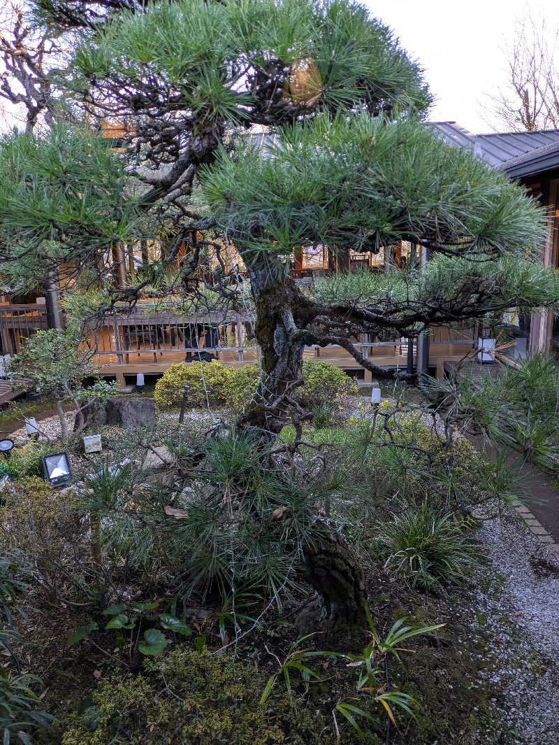 ひさんの昭島温泉 湯楽の里のサ活写真
