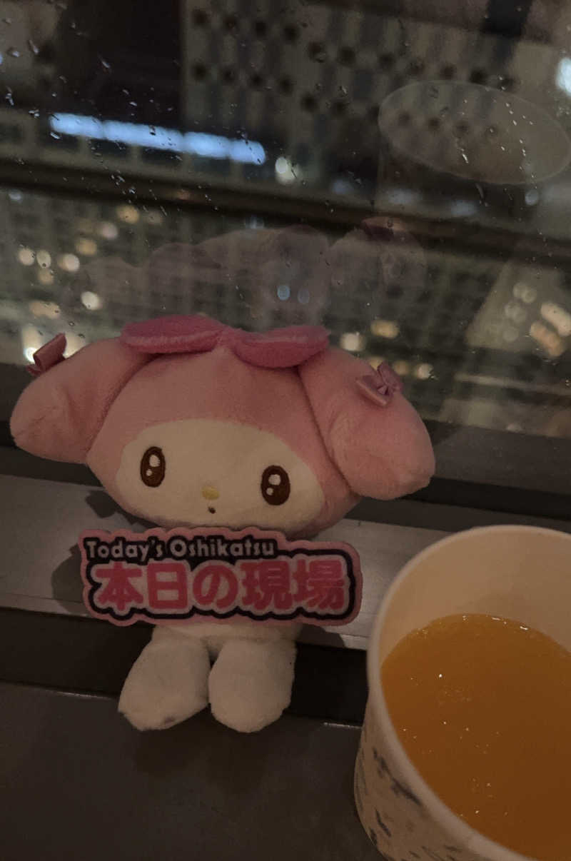 サウナメロさんのホテル京阪 ユニバーサル・タワーのサ活写真