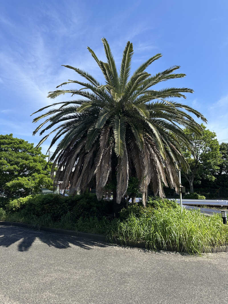 じゅにさんのリネツ金沢 (金沢プール)のサ活写真