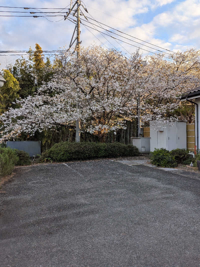 のすけさんの梶尾温泉のサ活写真