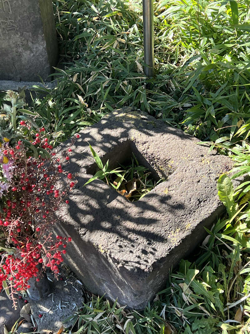 さとかずさんの黒湯の温泉 ゆ〜シティー蒲田のサ活写真