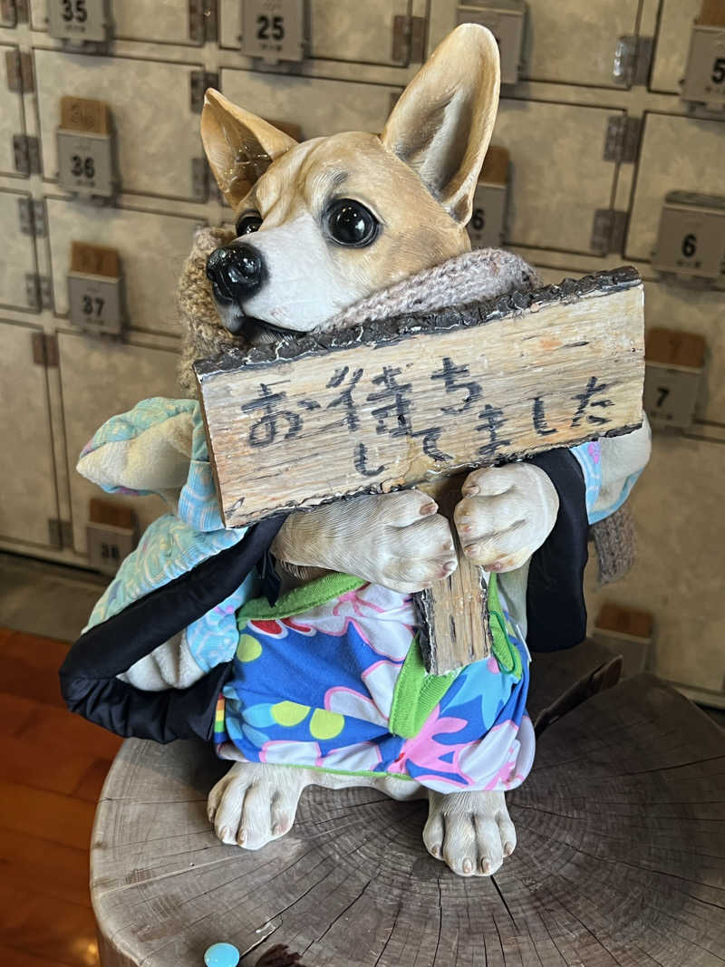 さとかずさんの照の湯のサ活写真