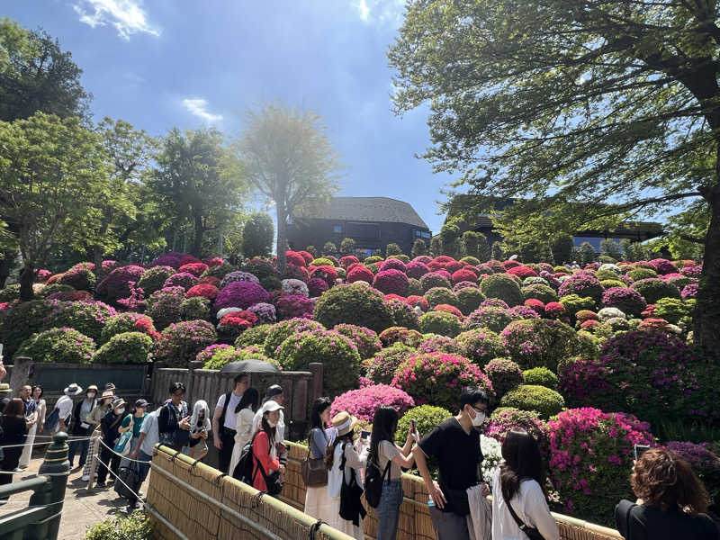 さとかずさんのひだまりの泉 萩の湯のサ活写真