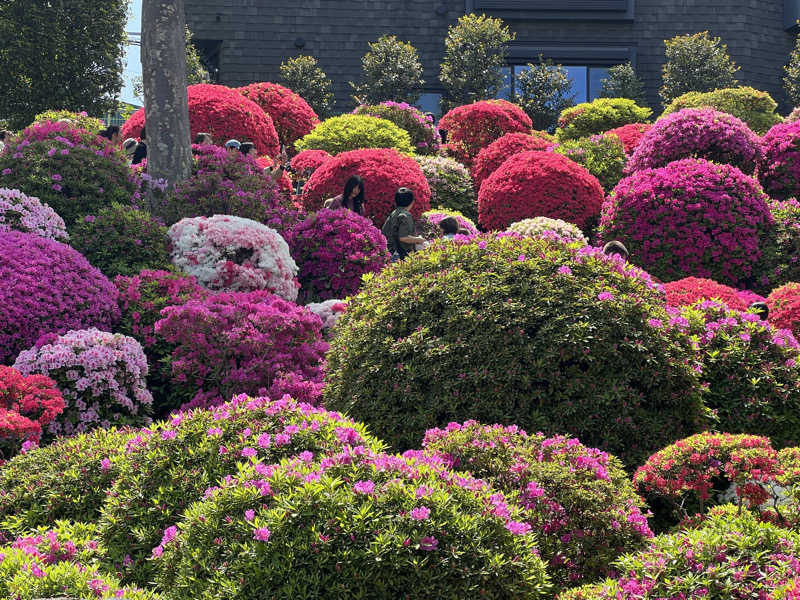 さとかずさんのひだまりの泉 萩の湯のサ活写真