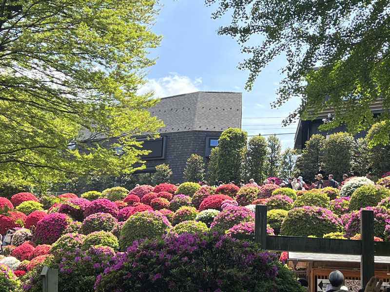 さとかずさんのひだまりの泉 萩の湯のサ活写真
