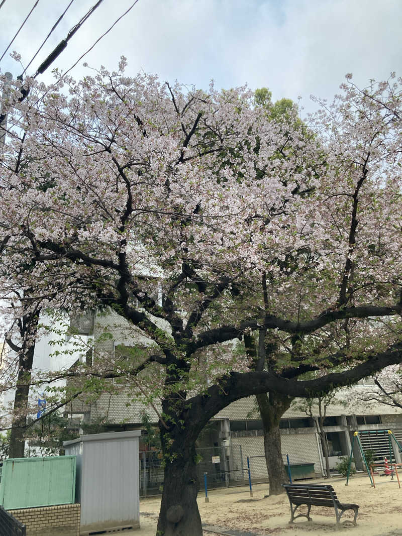 優しさライセンスさんのMINATO SAUNAのサ活写真