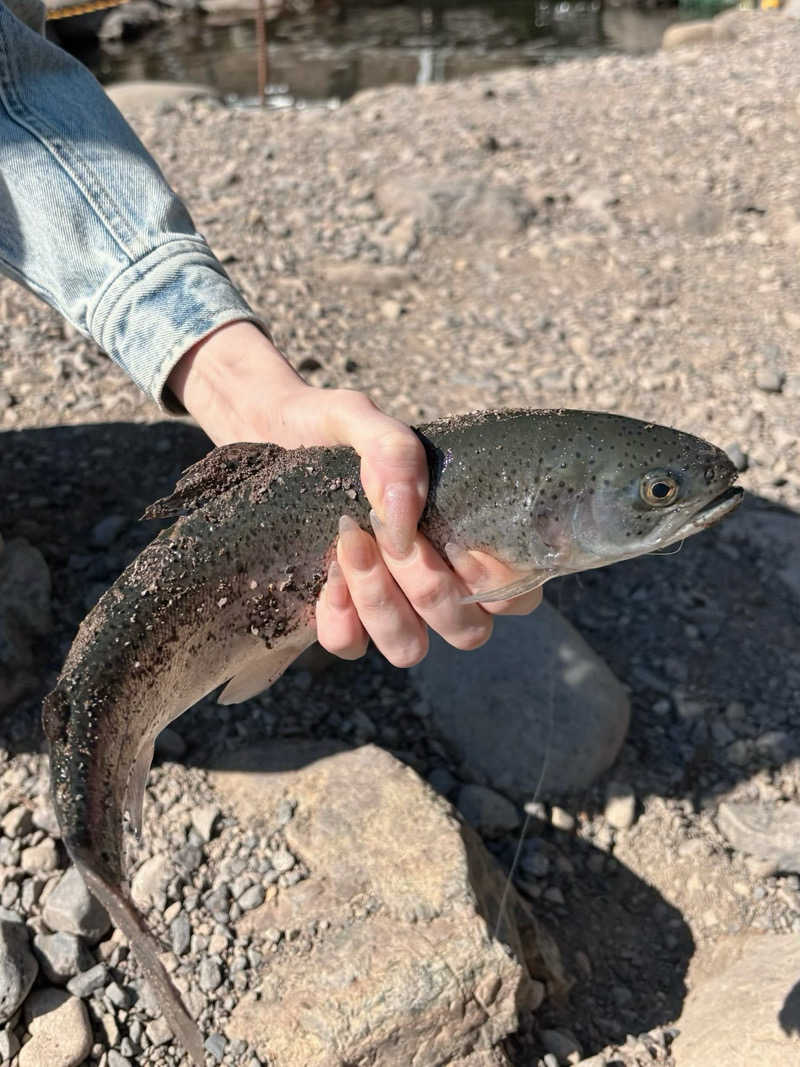 やねこちゃんさんのKEIKOKU GLAMPING TENTのサ活写真