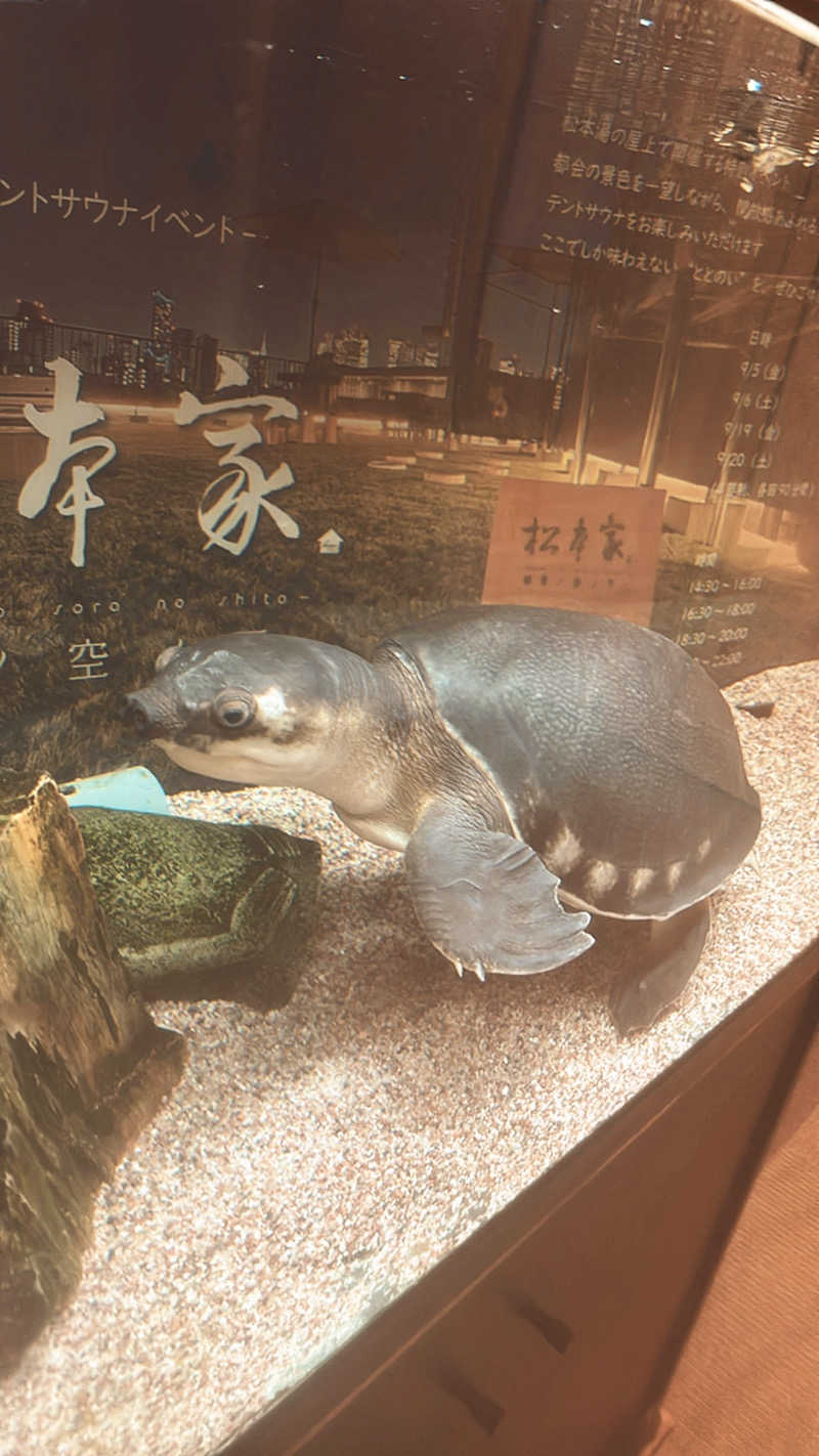 やねこちゃんさんの松本湯のサ活写真