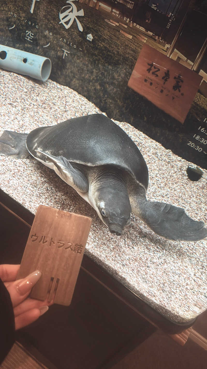 やねこちゃんさんの松本湯のサ活写真