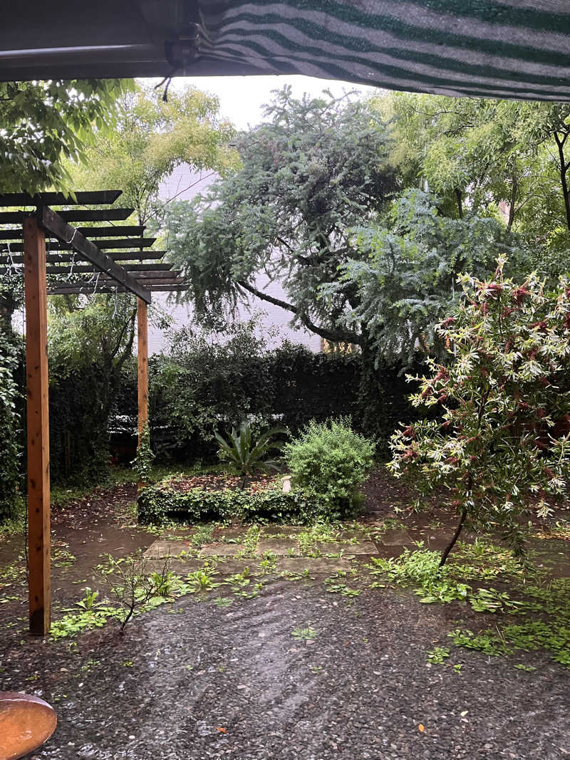 manaさんのmimodamaのサ活写真