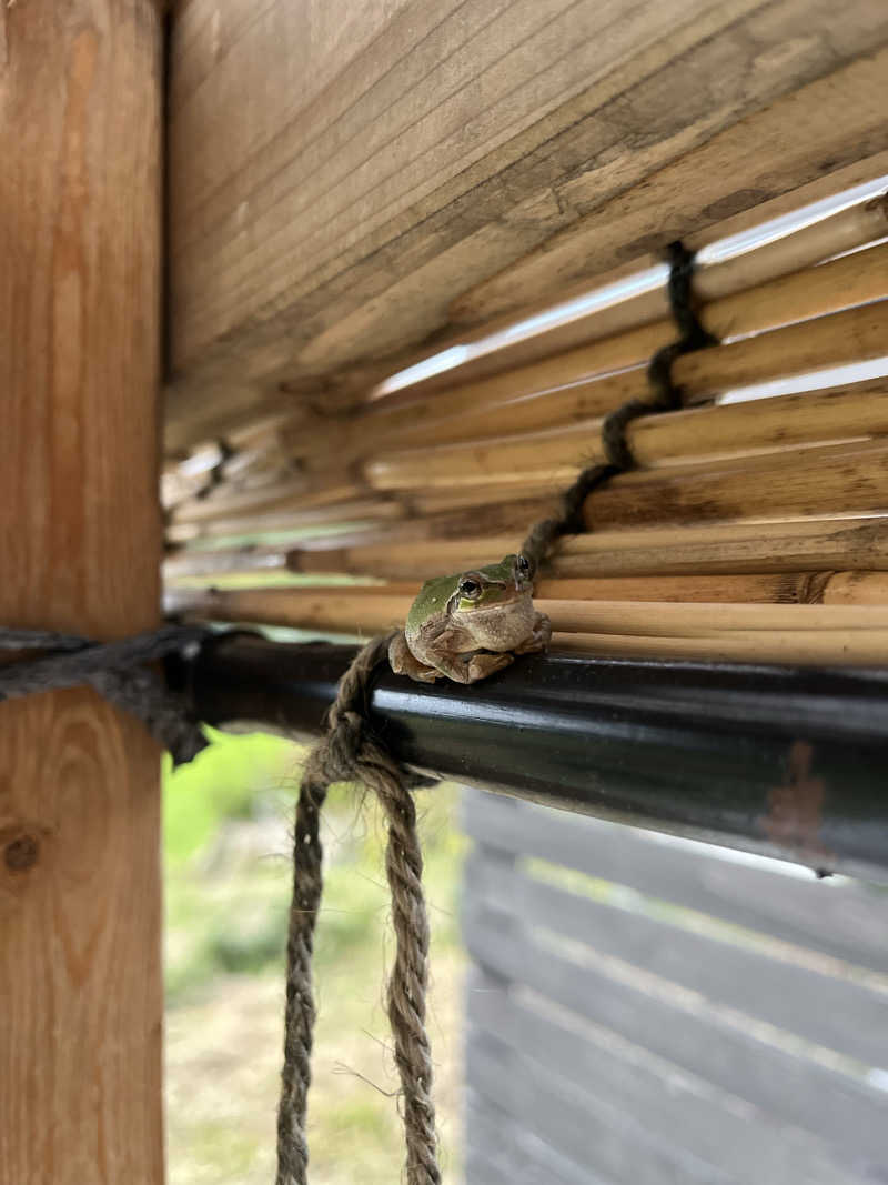 manaさんのDOGA SAUNAのサ活写真