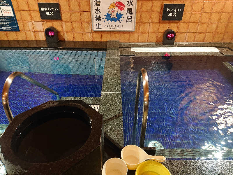 とびーさんの豊田挙母温泉 おいでんの湯のサ活写真