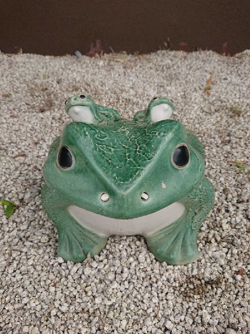 とびーさんの豊田挙母温泉 おいでんの湯のサ活写真