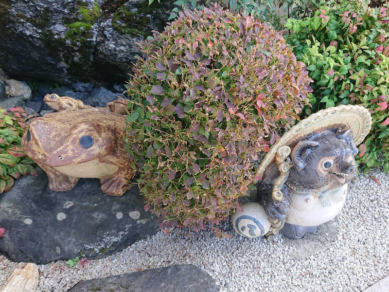 とびーさんの豊田挙母温泉 おいでんの湯のサ活写真