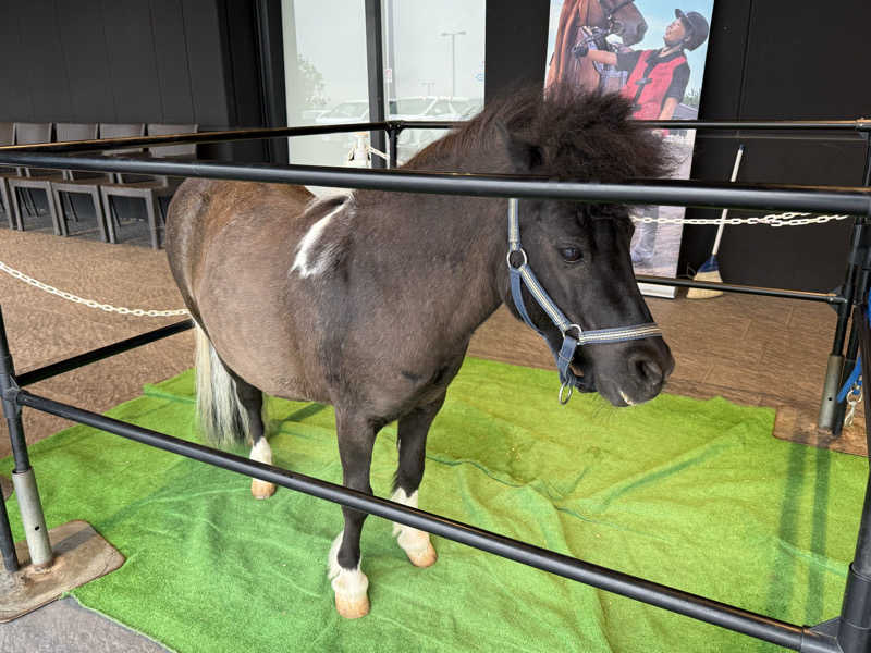 【nakamura3159】さんの神馬の湯のサ活写真