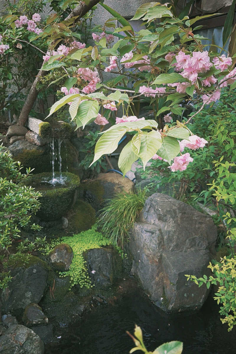 DJバーチャル農民さんの栄盛湯のサ活写真