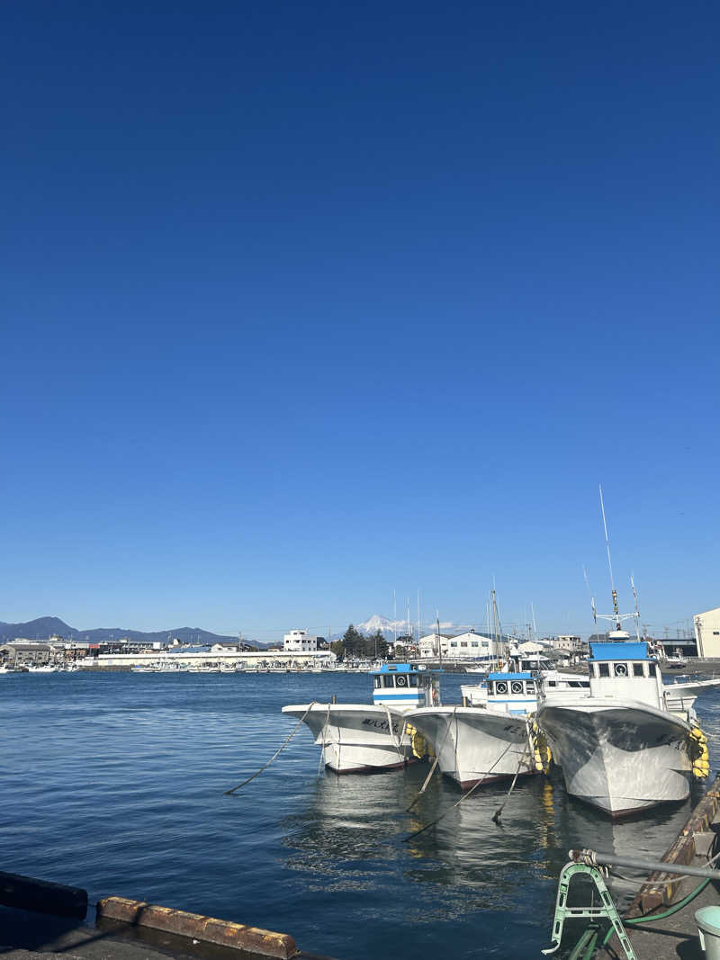 takahikoさんの用宗みなと温泉のサ活写真