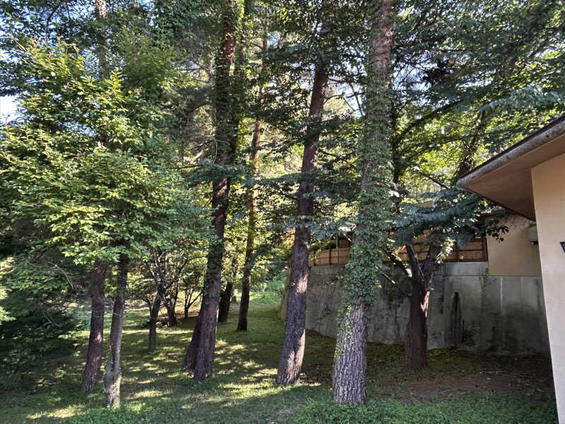 takahikoさんの八ヶ岳ホテル風かのサ活写真