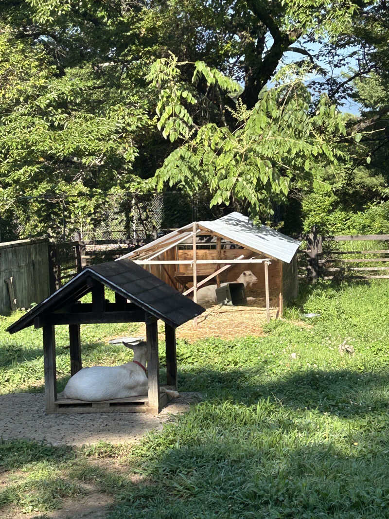 takahikoさんの八ヶ岳ホテル風かのサ活写真