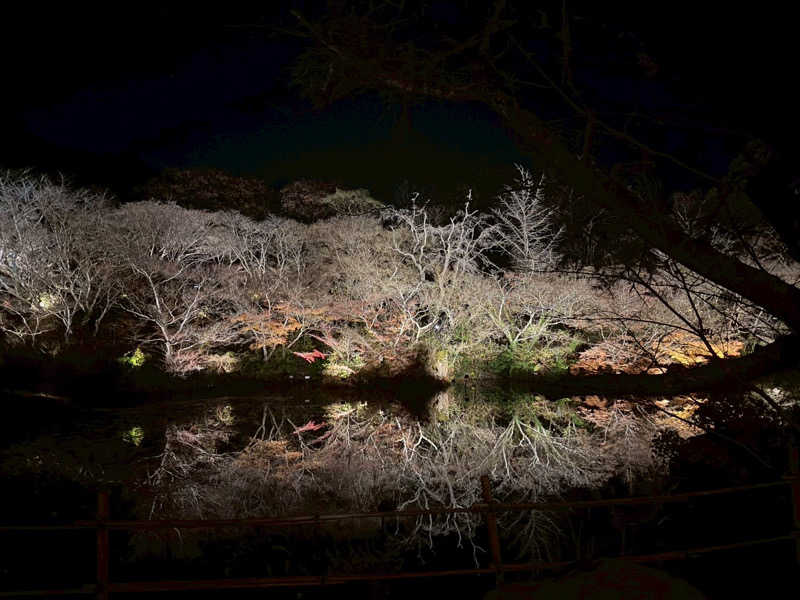 Satoshi Kawakuboさんの御船山楽園ホテル  らかんの湯のサ活写真