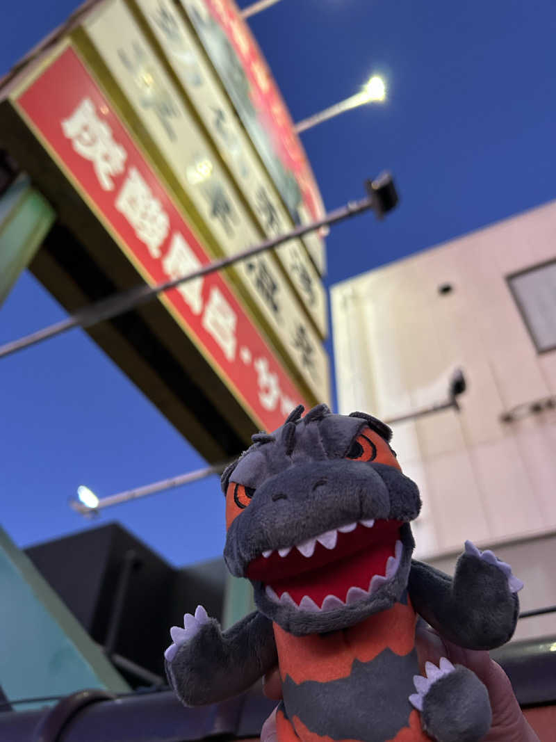 ラッコちゃん🦦さんの湯乃泉 草加健康センターのサ活写真